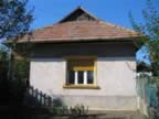 Homrogd030926 028.jpg (104kb)